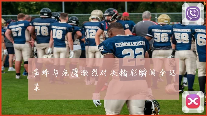 黄蜂与老鹰激烈对决精彩瞬间全记录