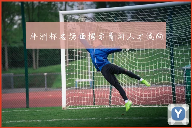 非洲杯名场面揭示青训人才流向
