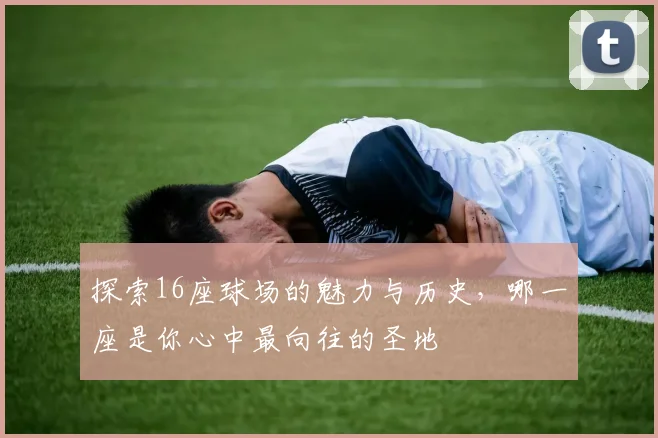 探索16座球场的魅力与历史，哪一座是你心中最向往的圣地