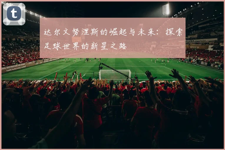 达尔文努涅斯的崛起与未来：探索足球世界的新星之路