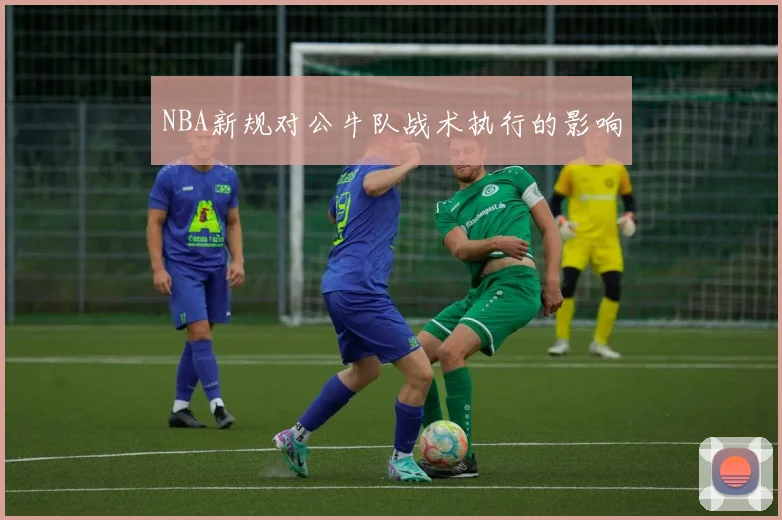 NBA新规对公牛队战术执行的影响