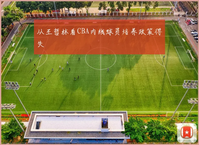从王哲林看CBA内线球员培养政策得失