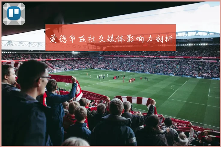 爱德华兹社交媒体影响力剖析