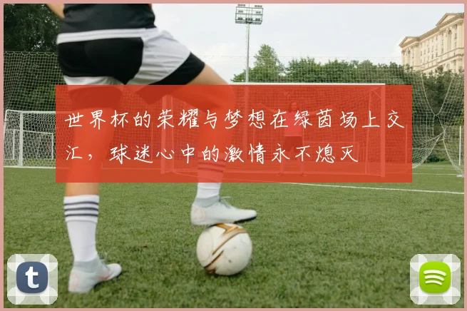 世界杯的荣耀与梦想在绿茵场上交汇，球迷心中的激情永不熄灭