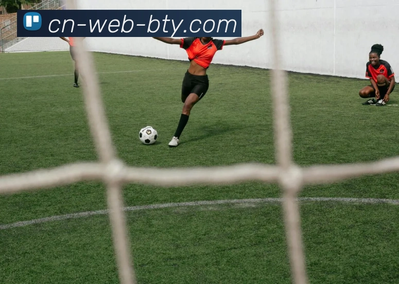 bsports平台生态图